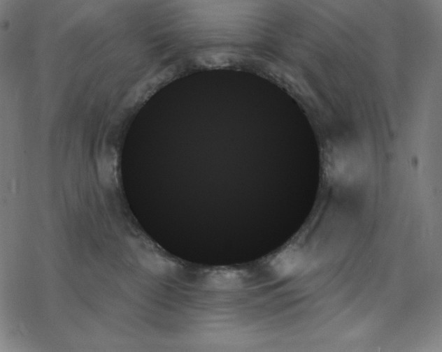 X0000078270332200612011725