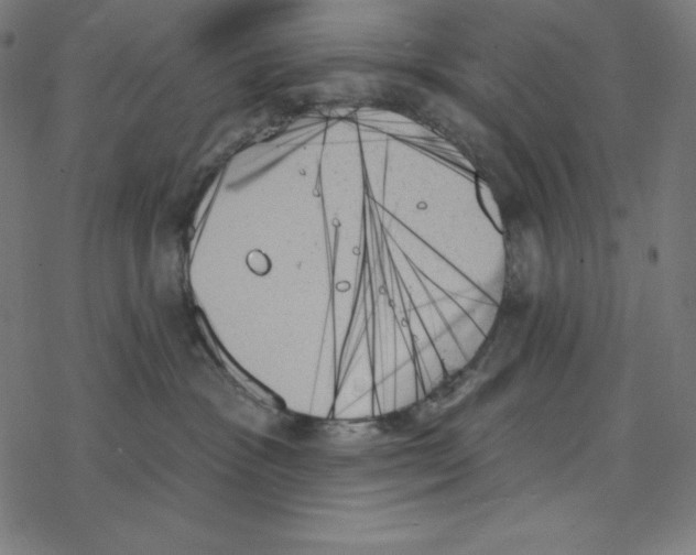 X0000078270333200612011725