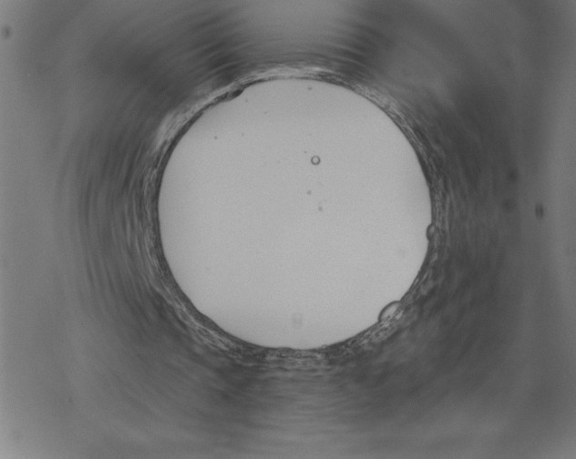 X0000078270337200612011725