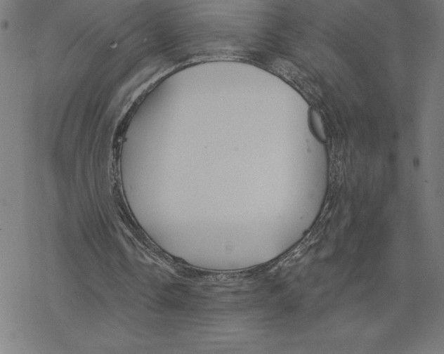 X0000078270338200612011725