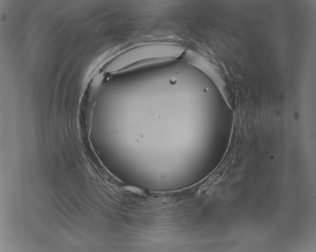 X0000078270340200612011725