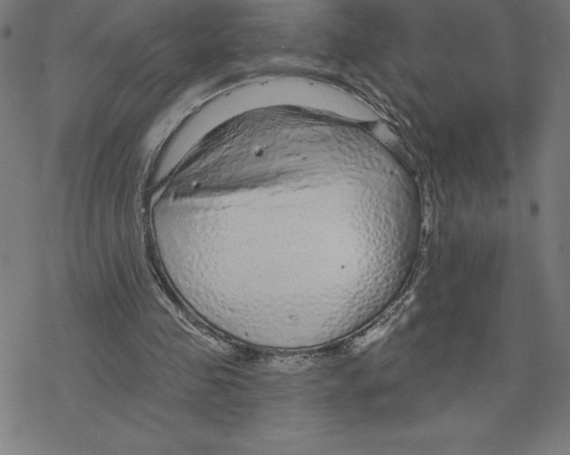 X0000078270341200612011725