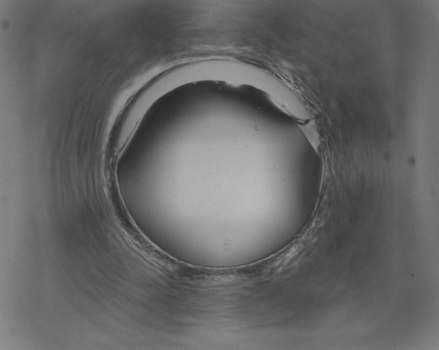 X0000078270342200612011725