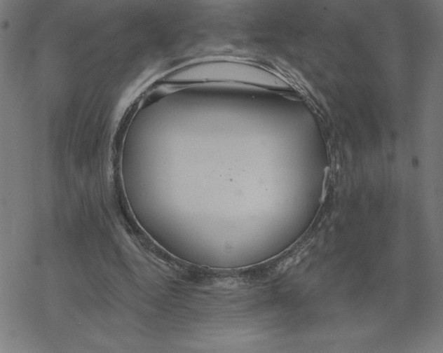 X0000078270344200612011725