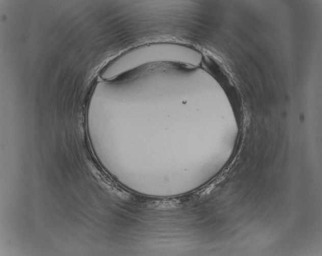 X0000078270345200612011725