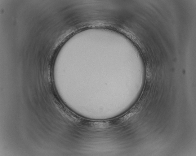 X0000078270347200612011725