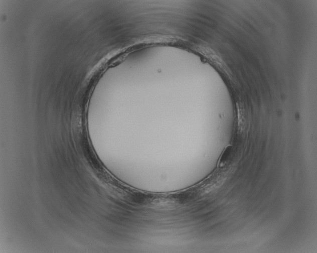 X0000078270348200612011725