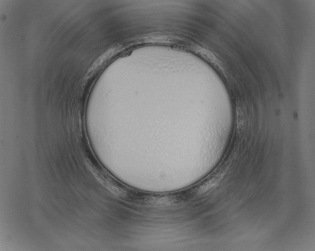 X0000078270349200612011725