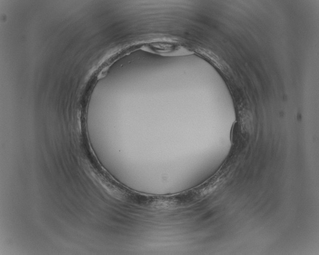 X0000078270350200612011725