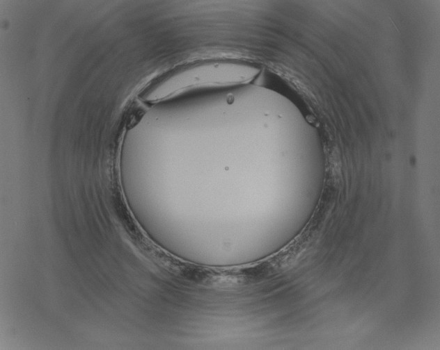 X0000078270352200612011725