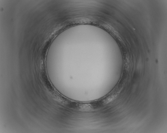 X0000078270355200612011725