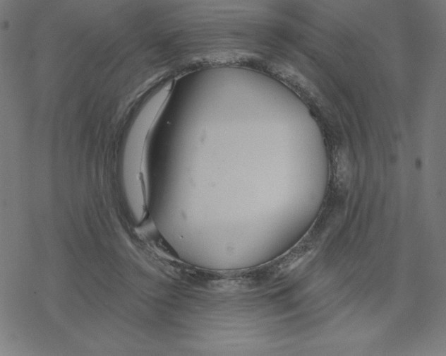 X0000078270356200612011725