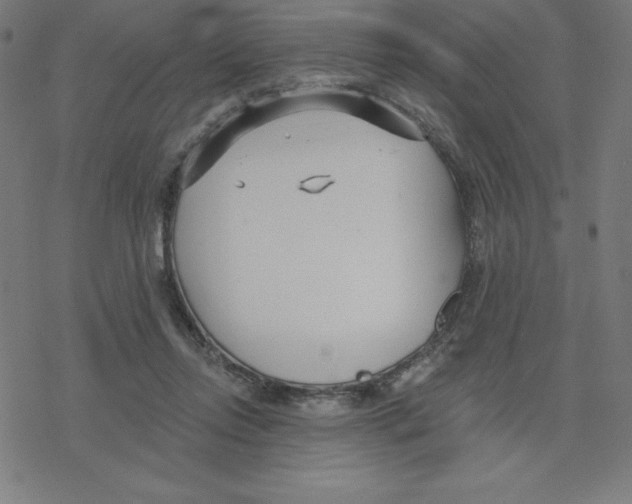 X0000078270358200612011725