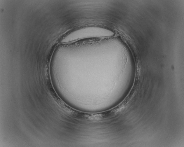 X0000078270359200612011725