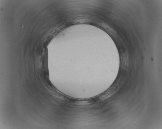 X0000078270361200612011725