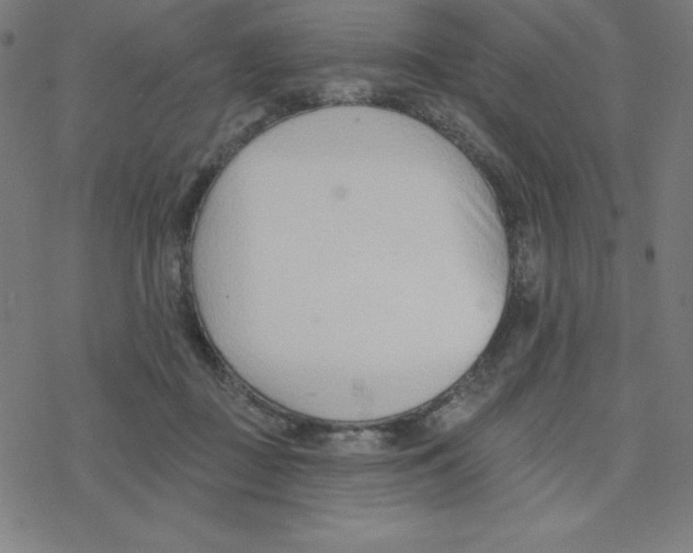 X0000078270363200612011725