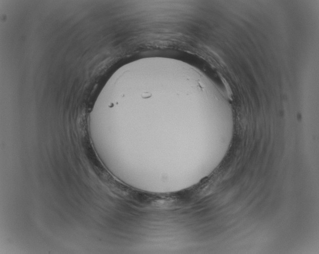 X0000078270364200612011725