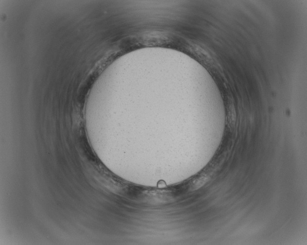 X0000078270367200612011725