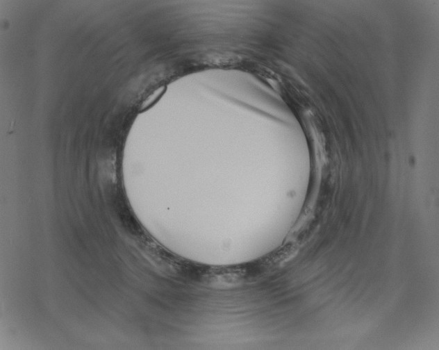 X0000078270368200612011725