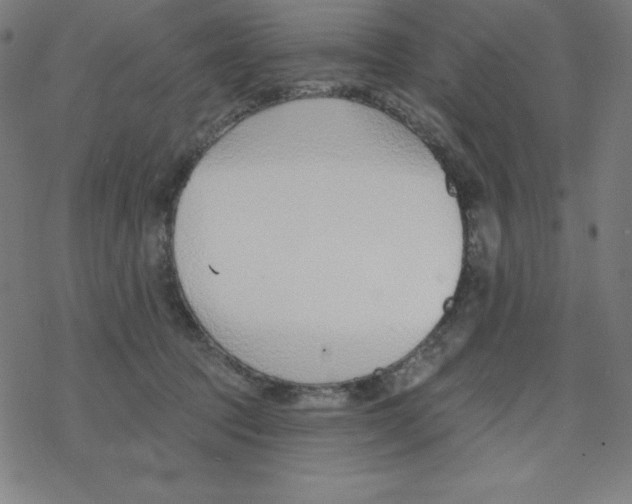 X0000078270369200612011725