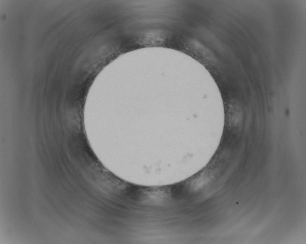 X0000078270370200612011725