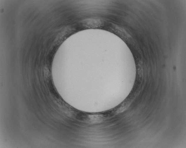 X0000078270371200612011725