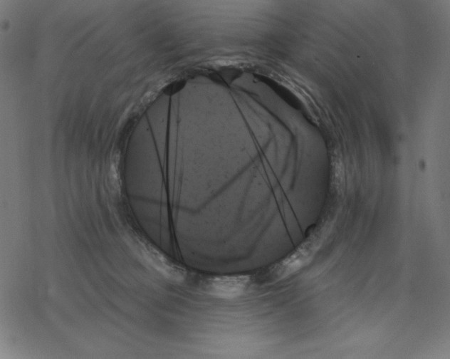 X0000078270373200612011725