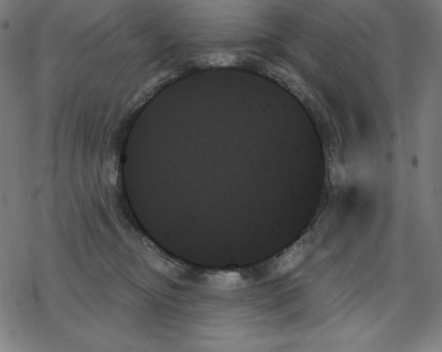 X0000078270374200612011725