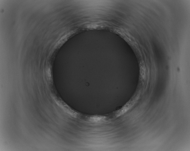 X0000078270375200612011725