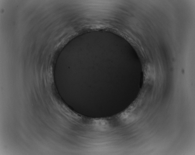 X0000078270376200612011725