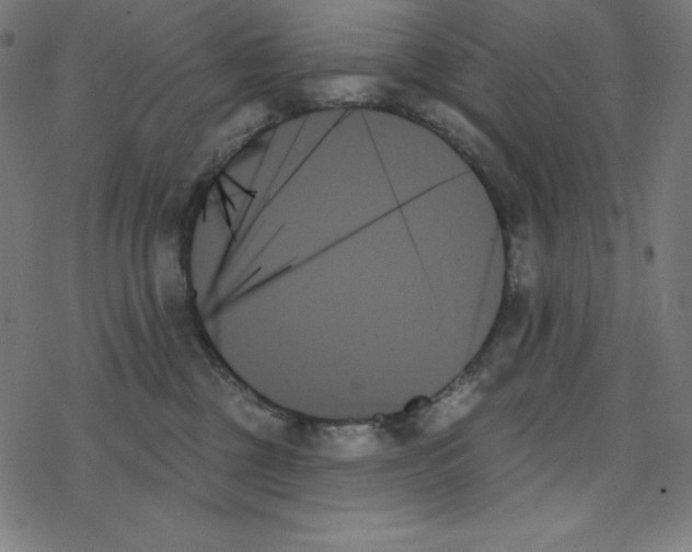 X0000078270377200612011725