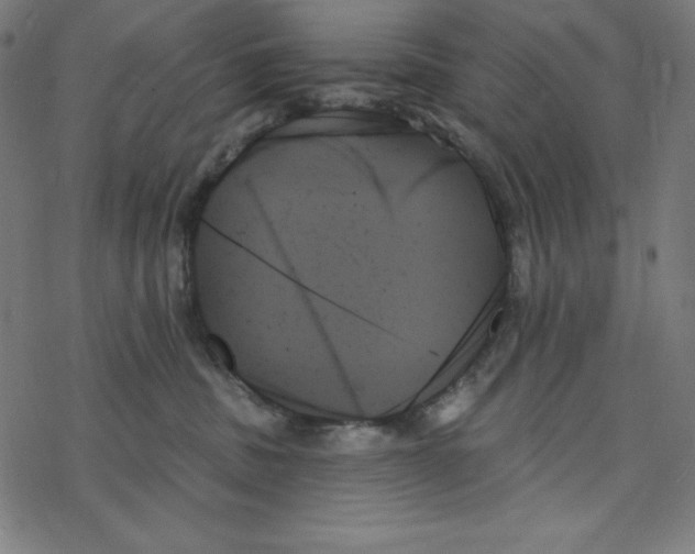 X0000078270379200612011725