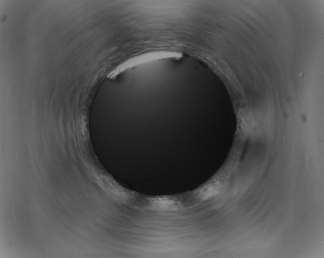 X0000078270380200612011725