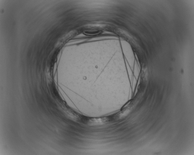 X0000078270381200612011725