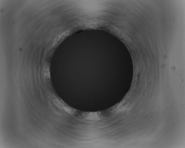 X0000078270384200612011725