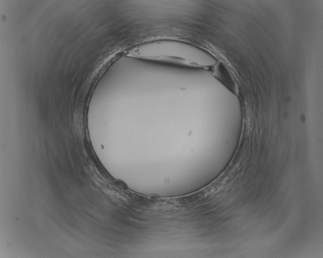 X0000078270386200612011725