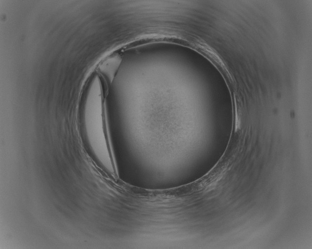 X0000078270387200612011725