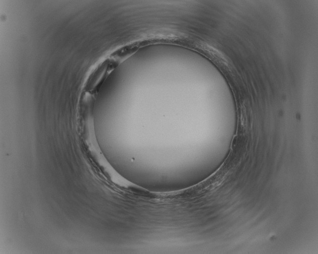 X0000078270388200612011725