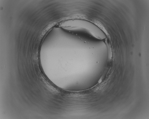 X0000078270389200612011725