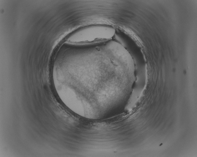 X0000078270391200612011724