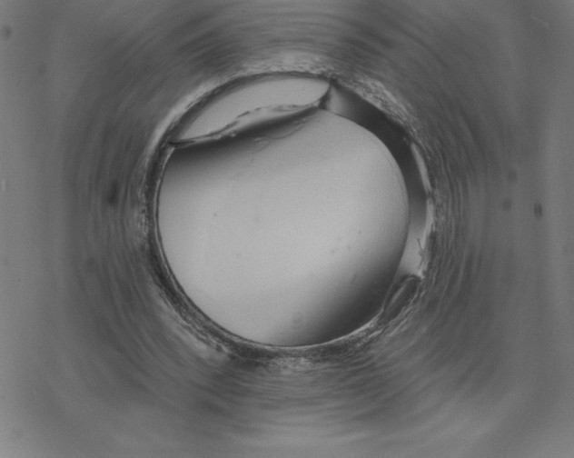 X0000078270392200612011724