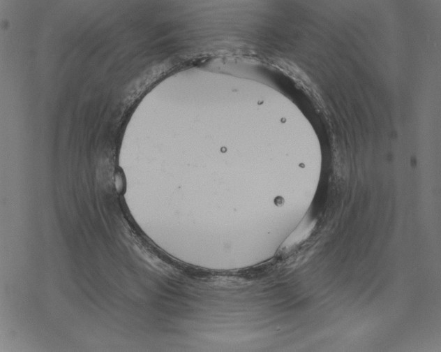 X0000078270393200612011724