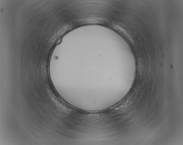 X0000078270394200612011724