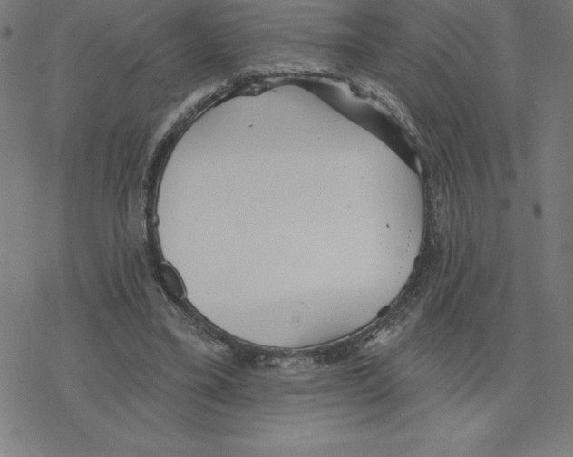 X0000078270395200612011724