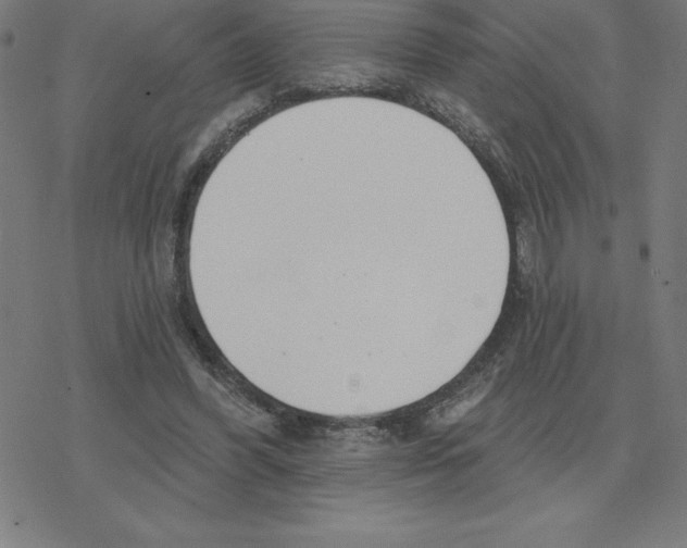 X0000078270396200612011724