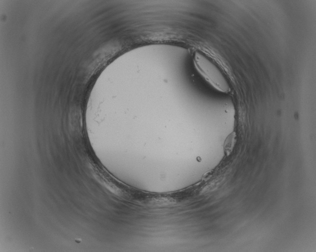 X0000078270397200612011724