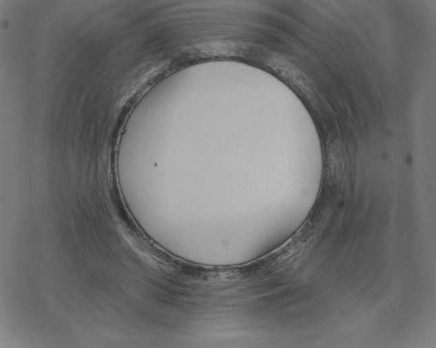 X0000078270398200612011724