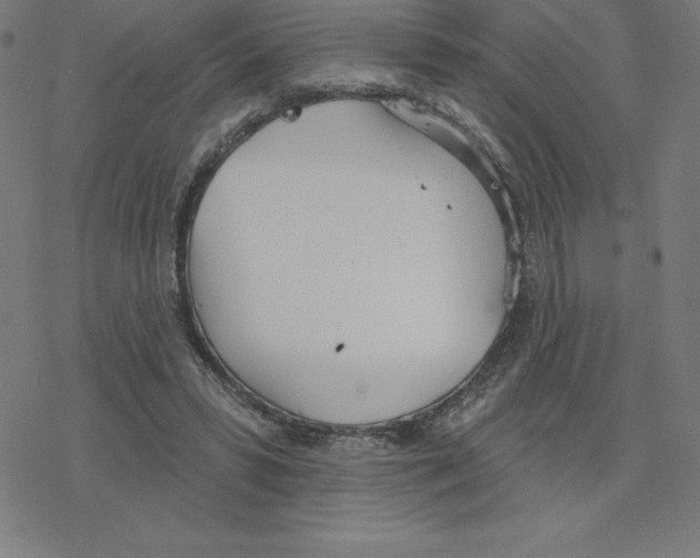 X0000078270399200612011724