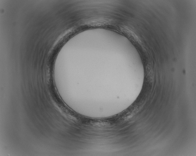 X0000078270400200612011724