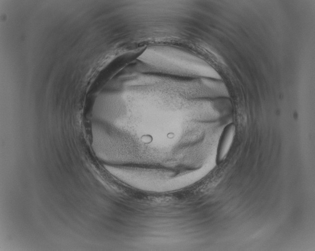 X0000078270401200612011724